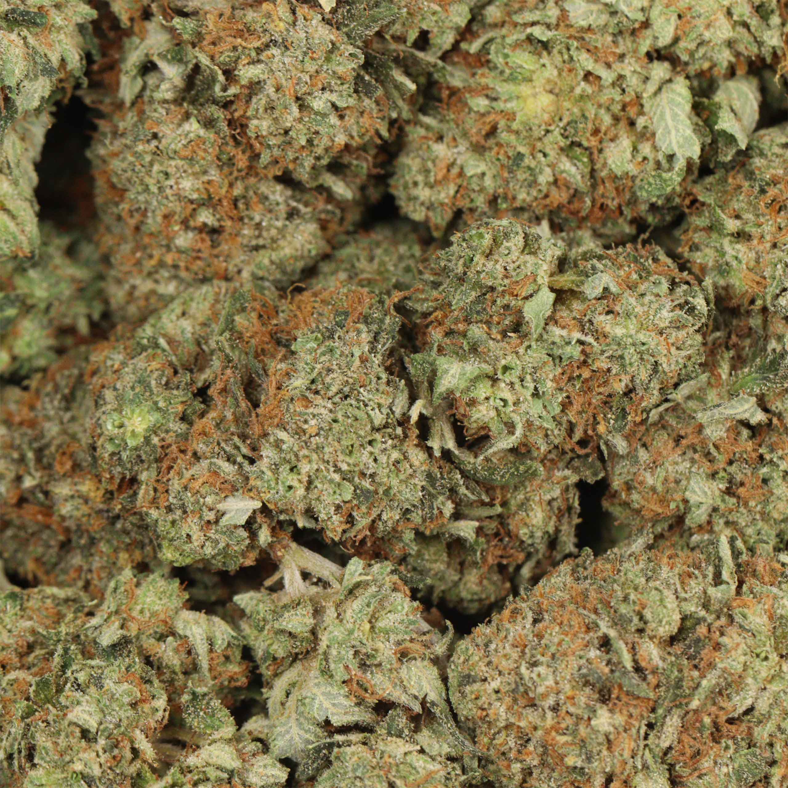 Death Bubba - Image 3