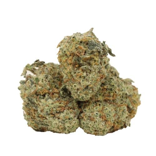 Diablo OG Kush strain cannabis