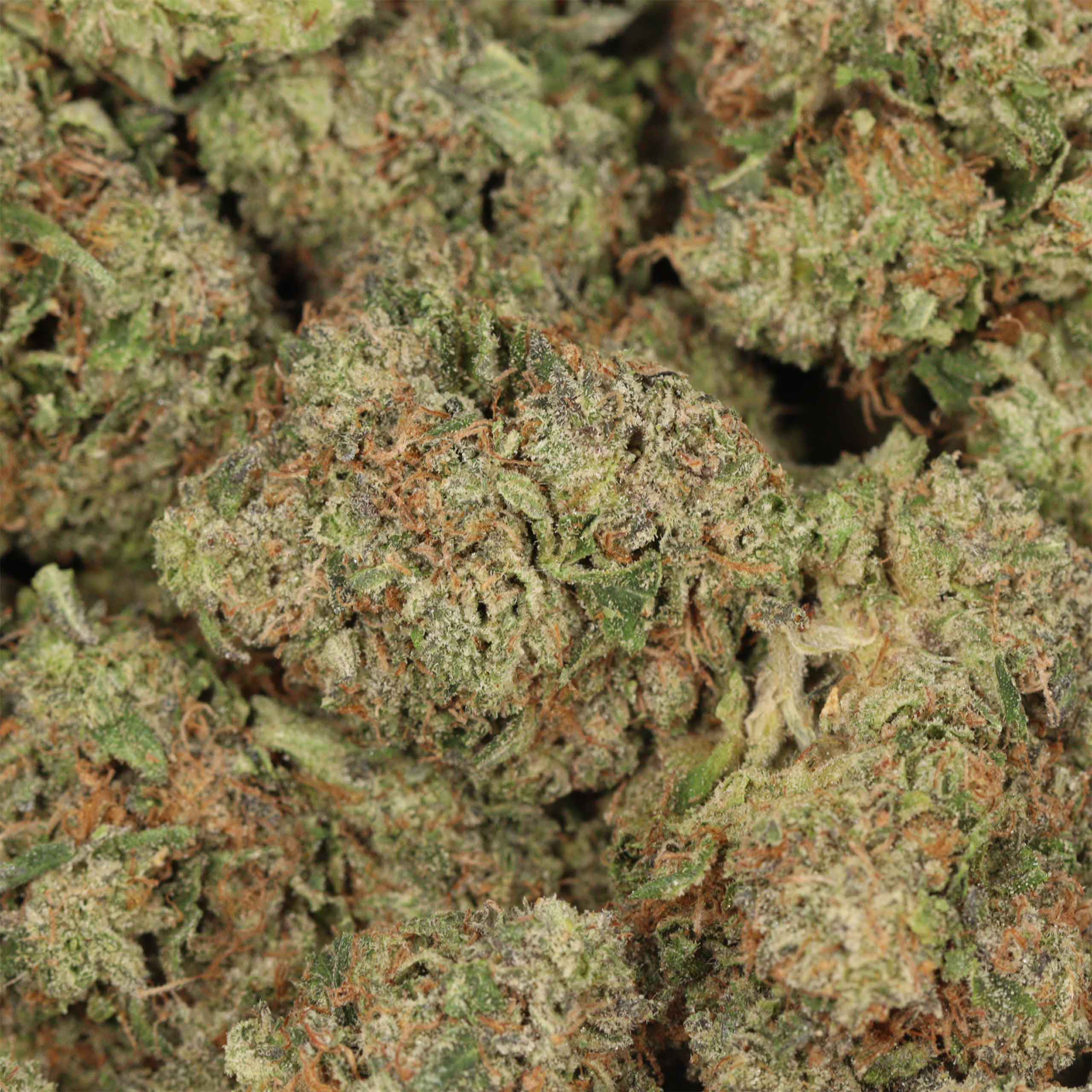 Dior Pink Kush - Image 3