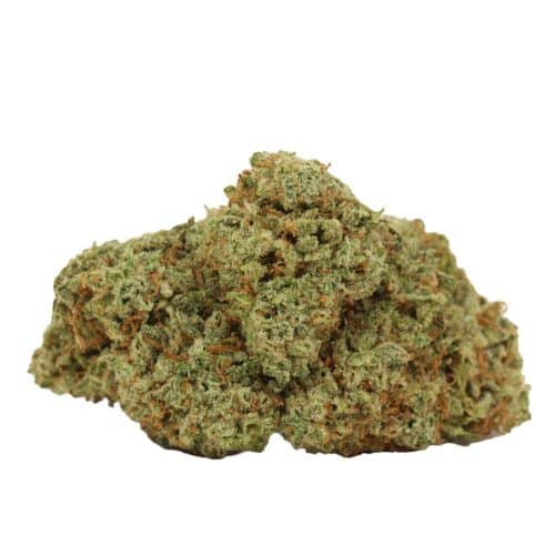 Durban Poison strain cannabis