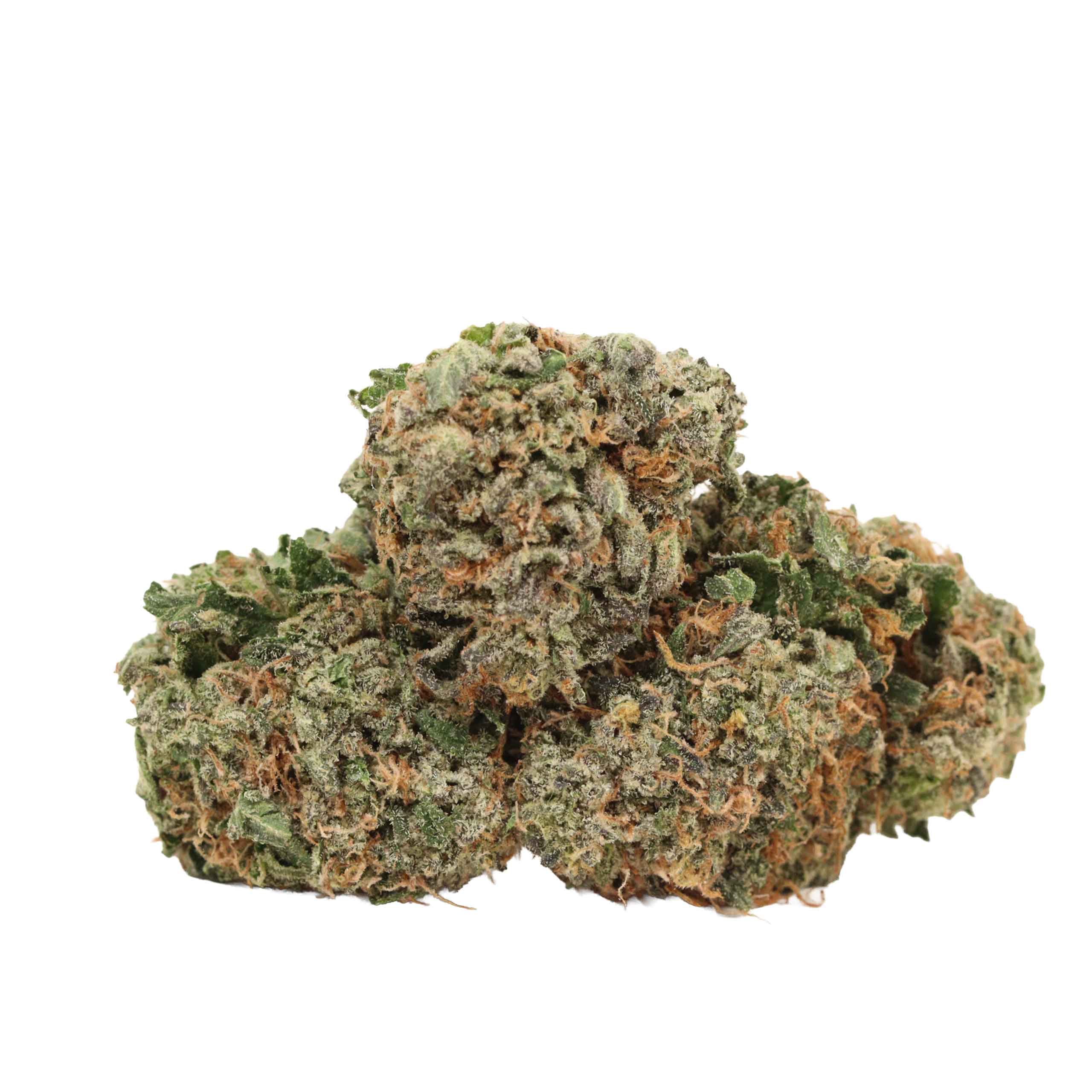 EL Chapo strain cannabis