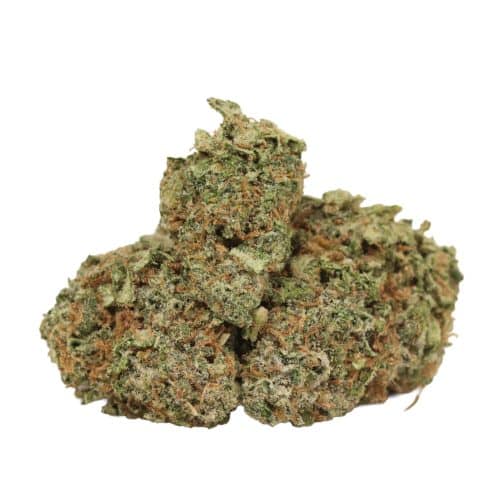 Fruit Loops strain cannabis