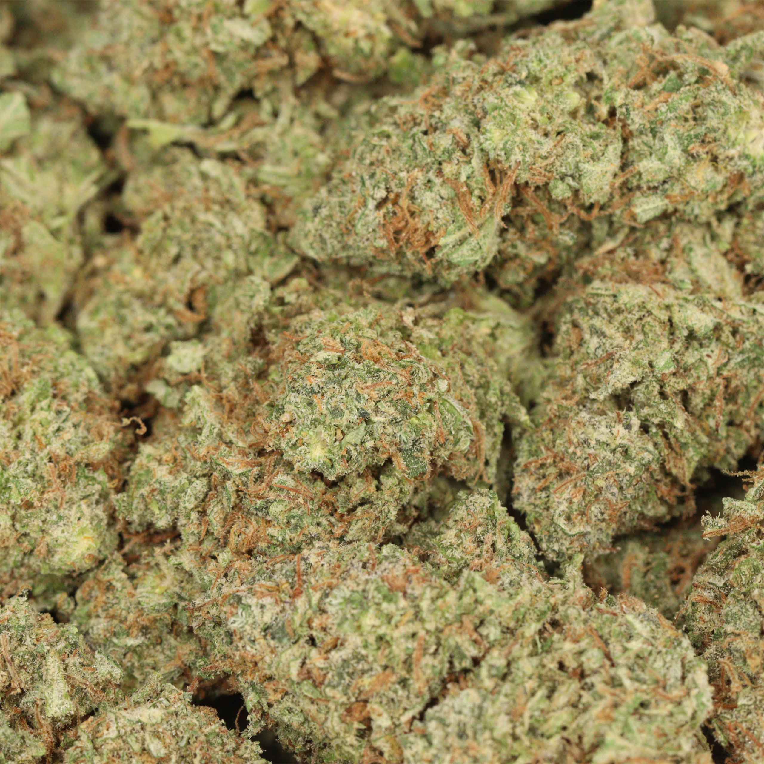 Fruit Loops - Image 3