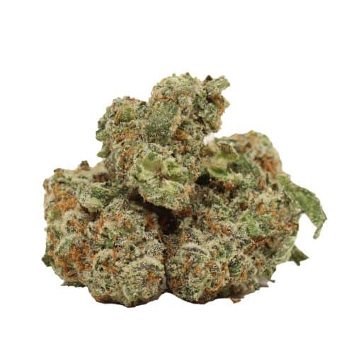 Gas Monkey strain cannabis