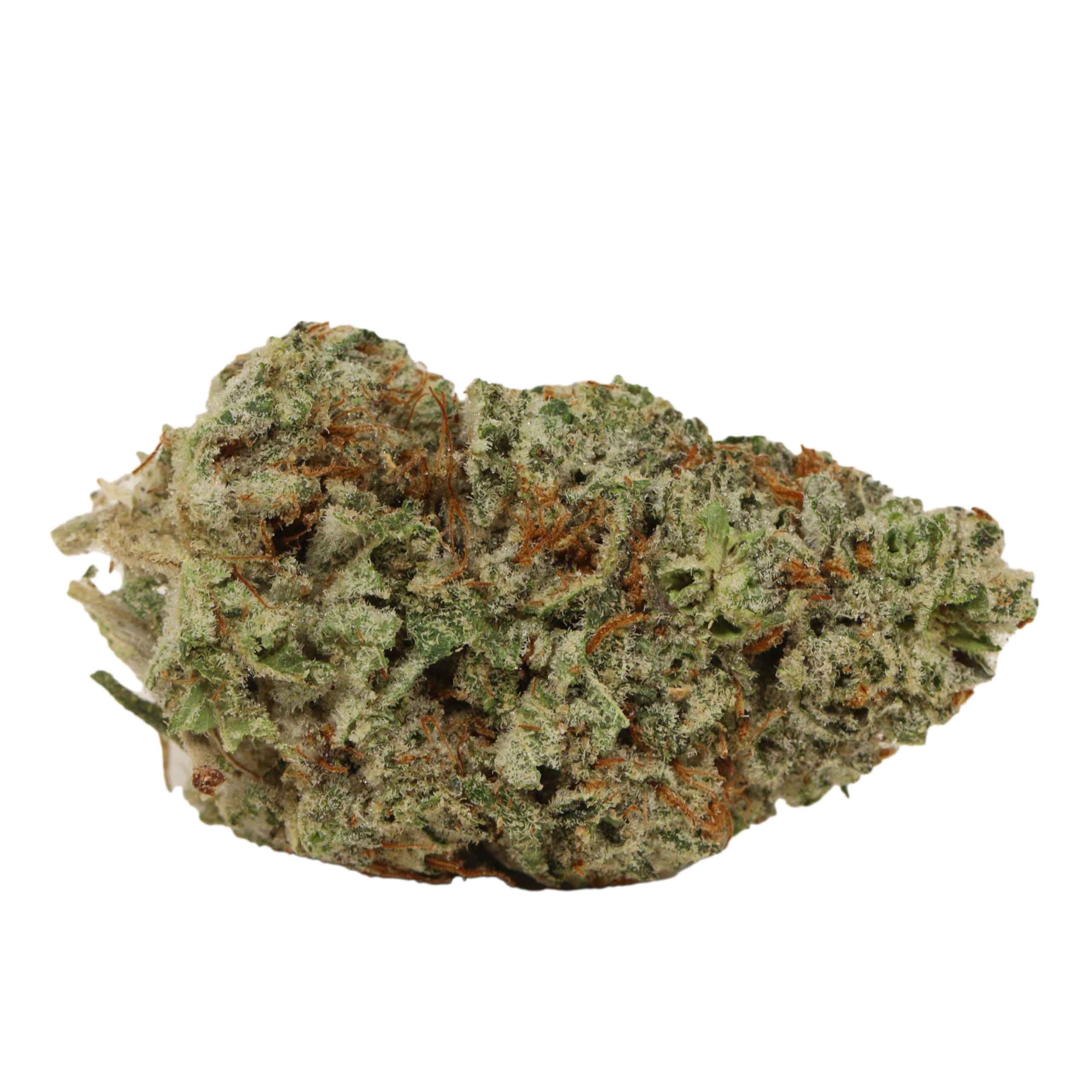 Gas Monkey - Image 2