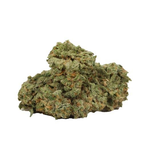 Gelato #33 strain cannabis