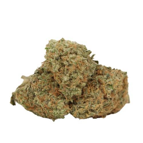 Girl Scout Cookies strain cannabis