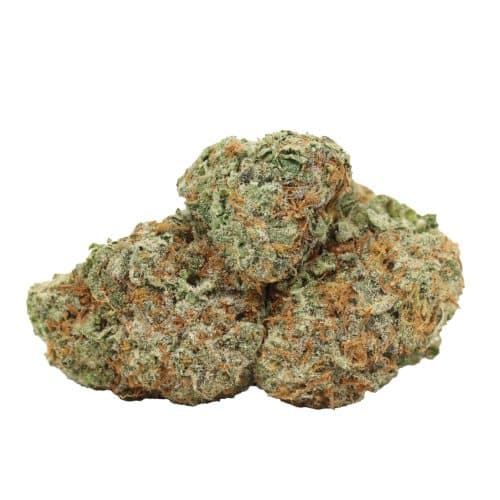 God's Green Crack strain cannabis