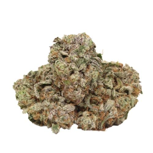 Gorilla Glue #4 strain cannabis