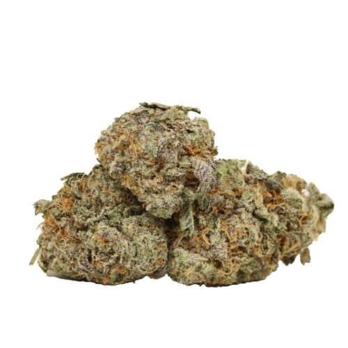 Gorilla Glue #4 strain cannabis