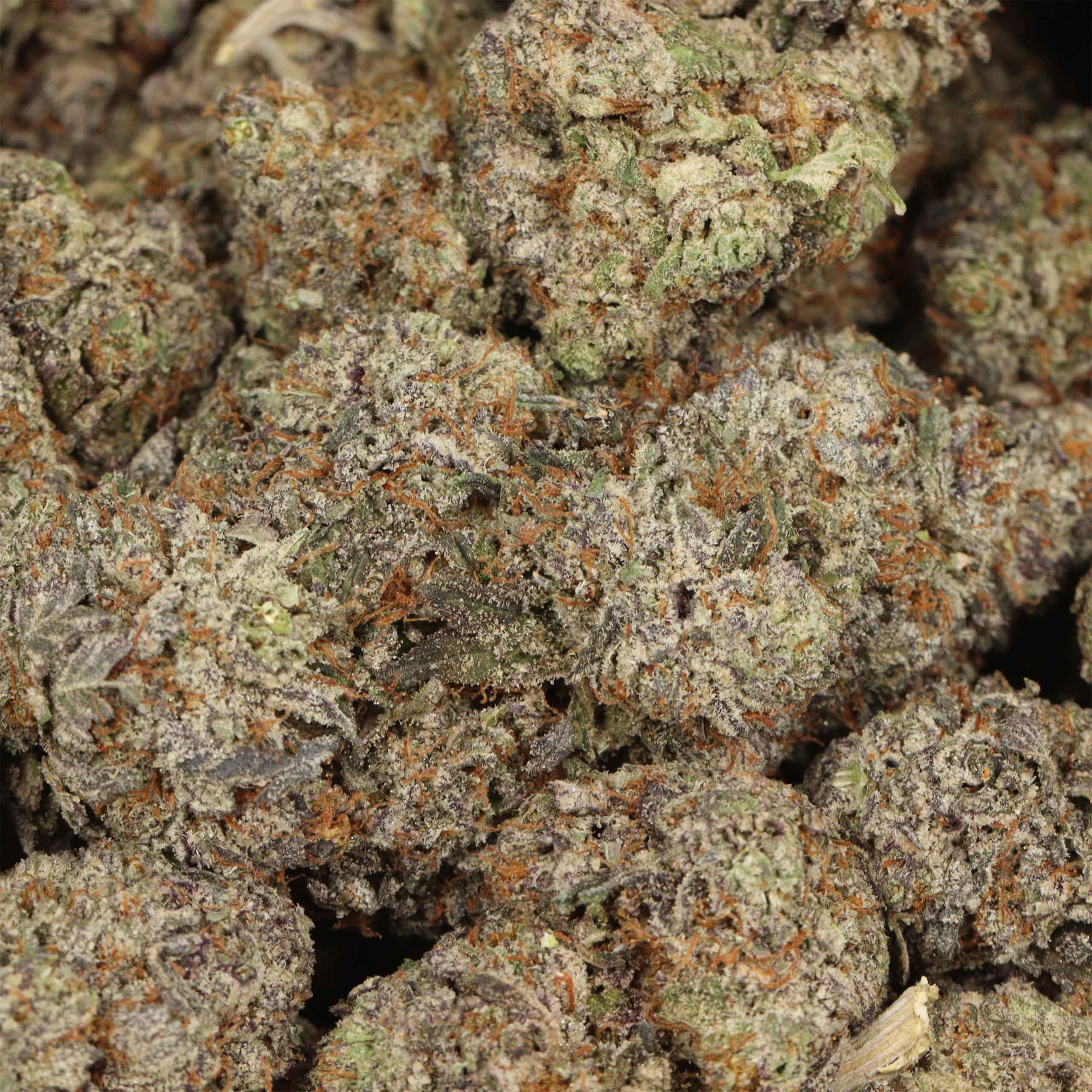 GrandDaddy Death - Image 3