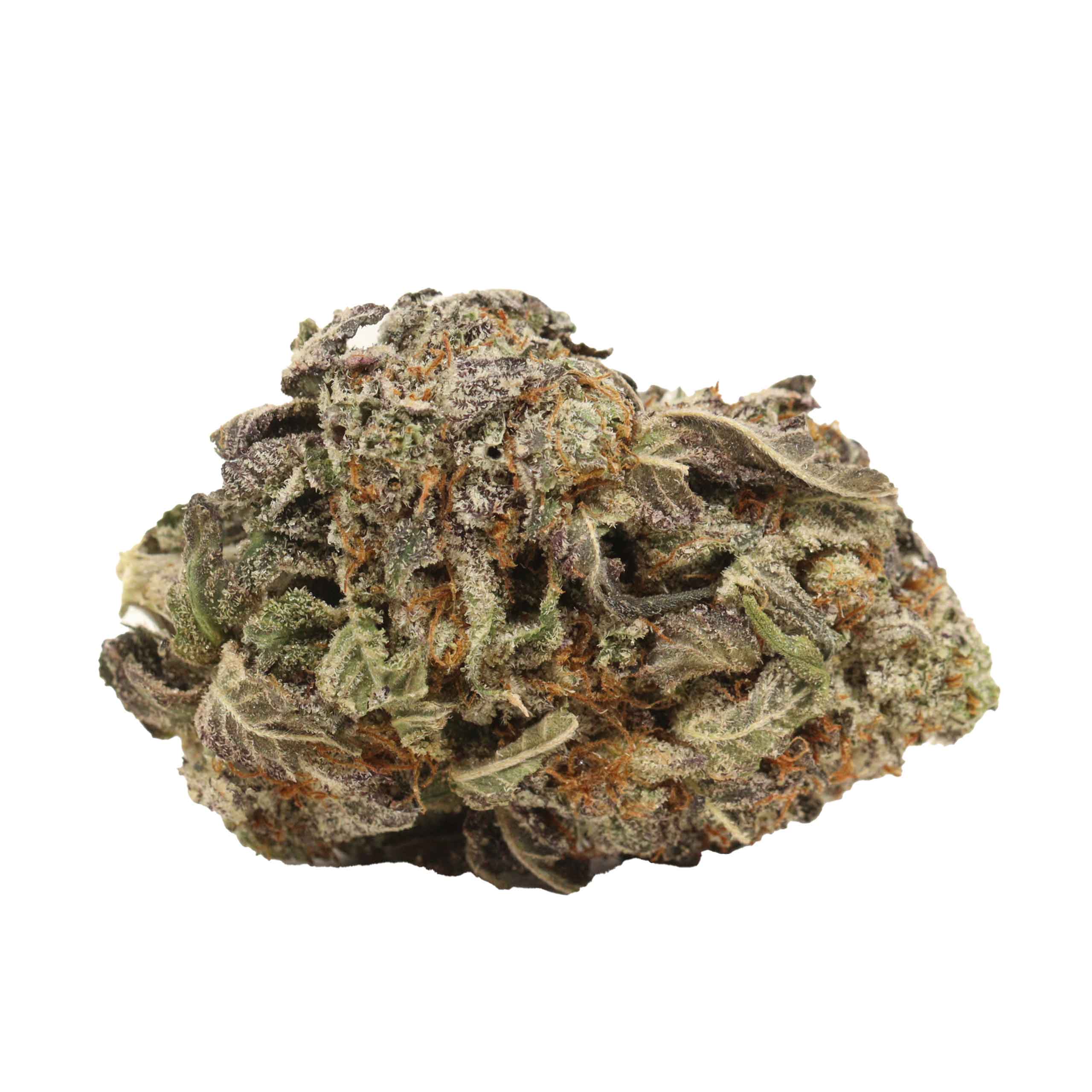 GrandDaddy Death - Image 2