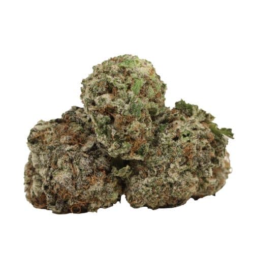 Grand Daddy Purple strain cannabis