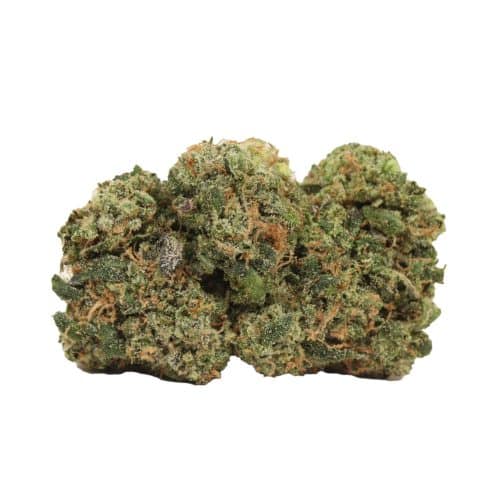 Hawaiian Runtz strain cannabis