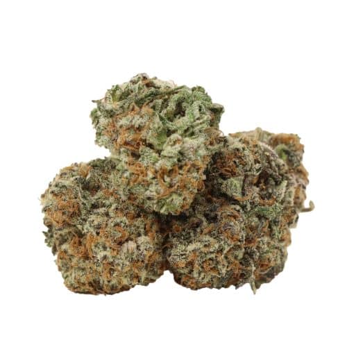 Heaven Scent strain cannabis