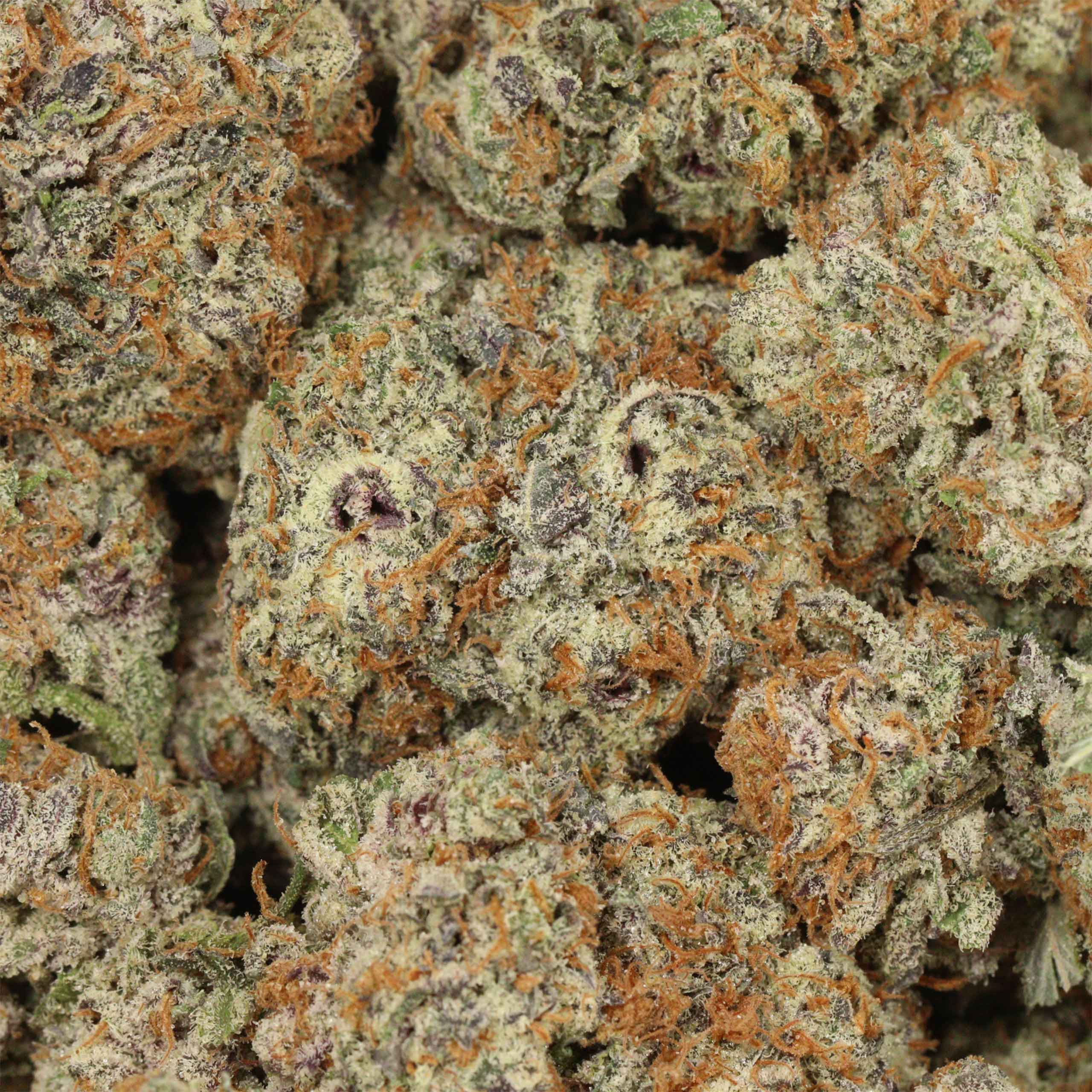 Heaven Scent - Image 3
