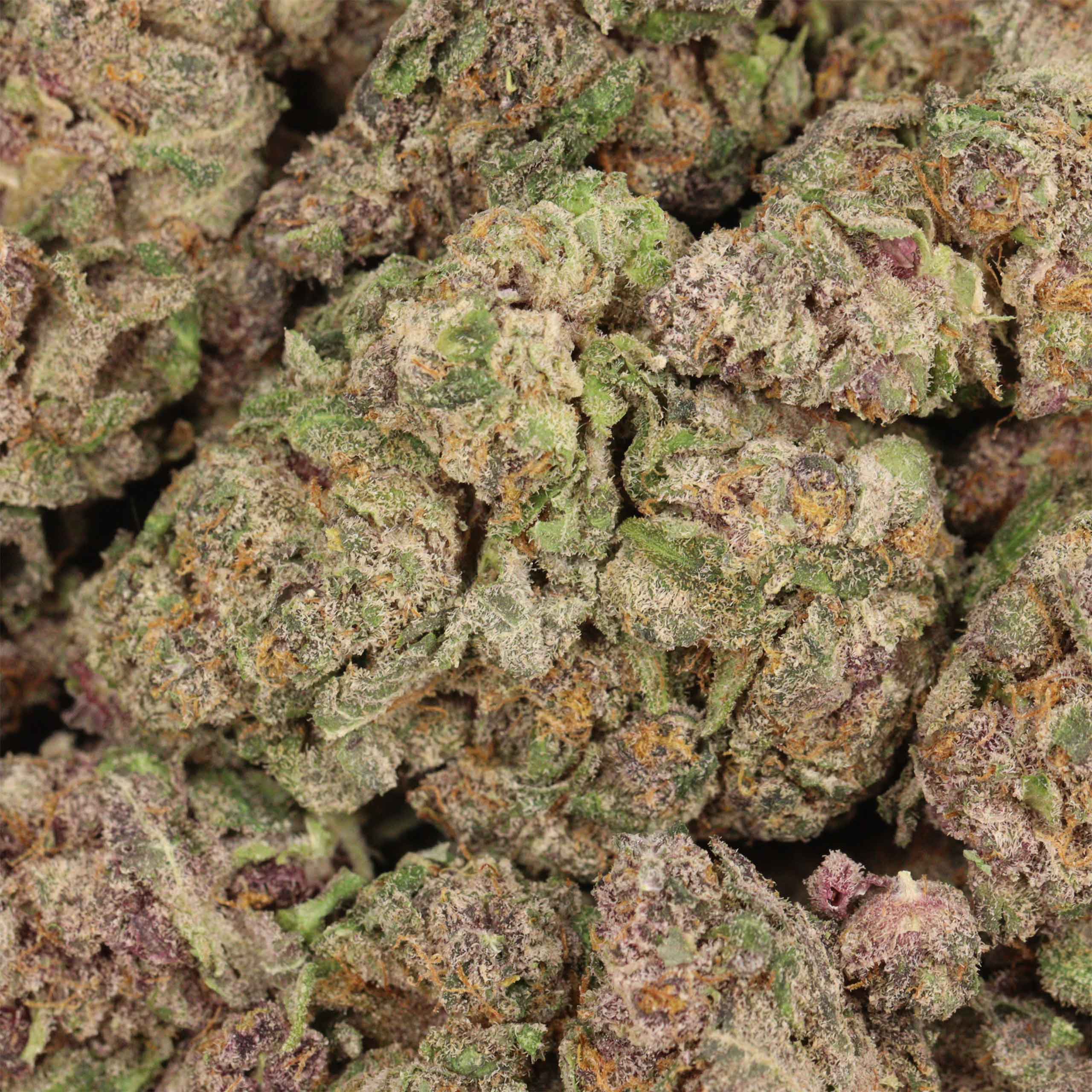 Huckleberry Soda - Image 3