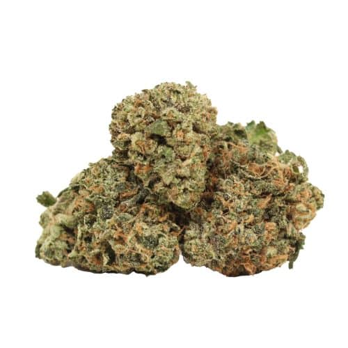 Hydro Death Bubba strain cannabis