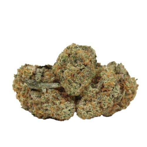 Ice Wine strain cannabis
