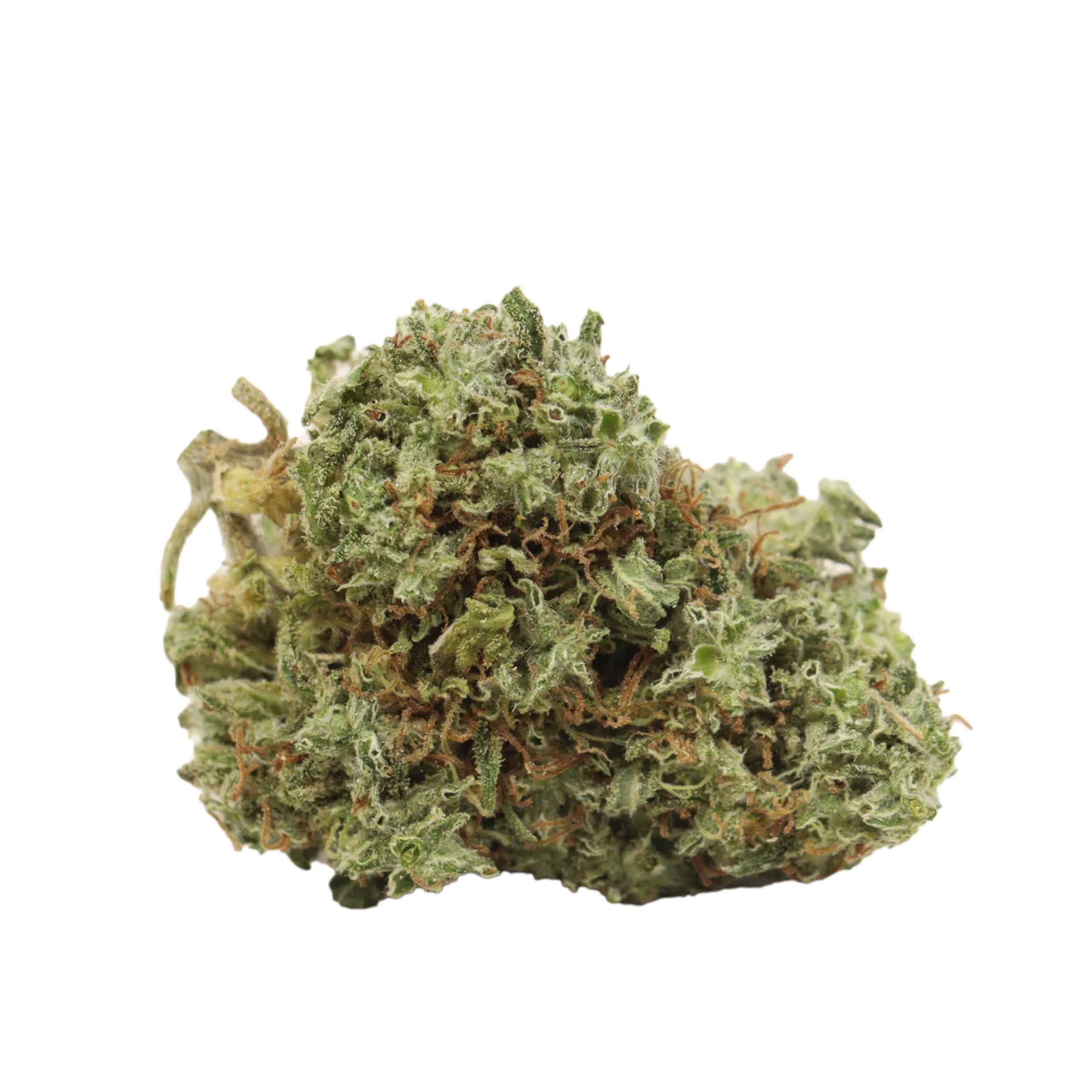 JackFruit weed cannabis