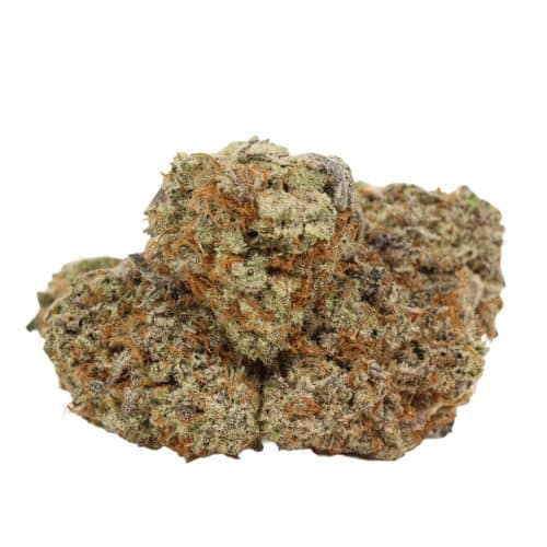 Jungle Cake strain cannabis