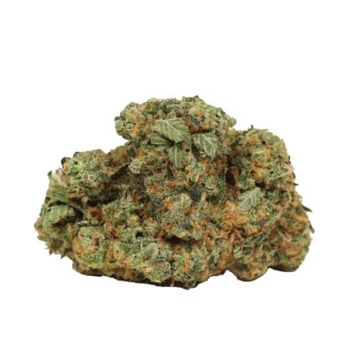 LA Ultra strain cannabis