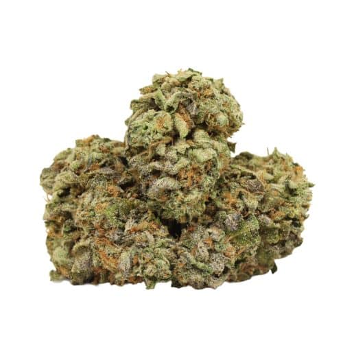 Layer Cake strain cannabis