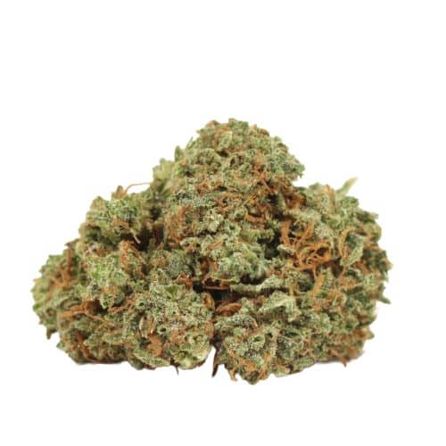 Lemon Sour Diesel strain cannabis