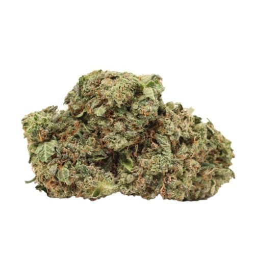 Lemon Haze strain cannabis