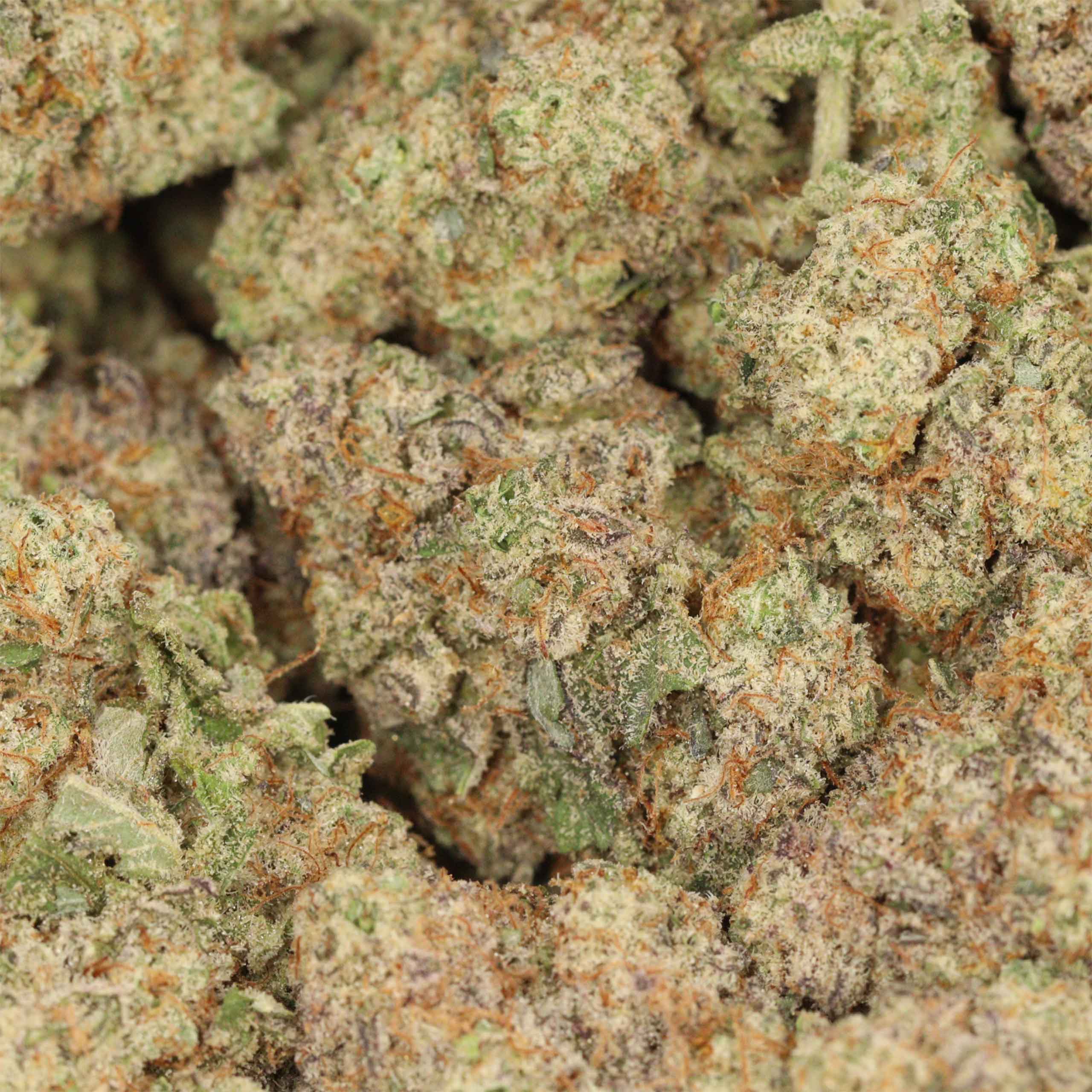 MAC 1 - Image 3