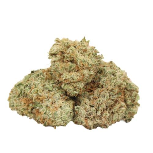 Mango Kush strain cannabis