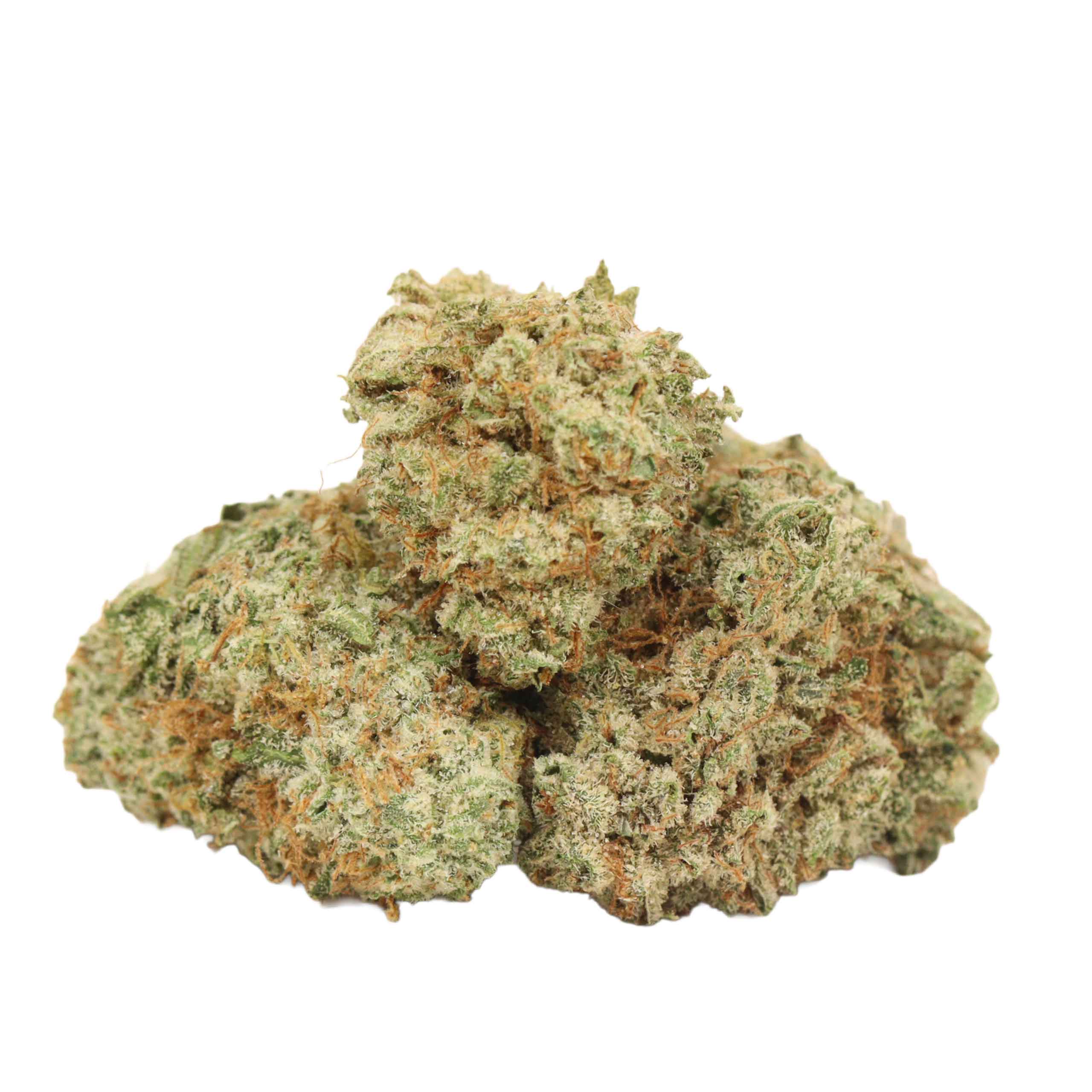 Mango Kush strain cannabis