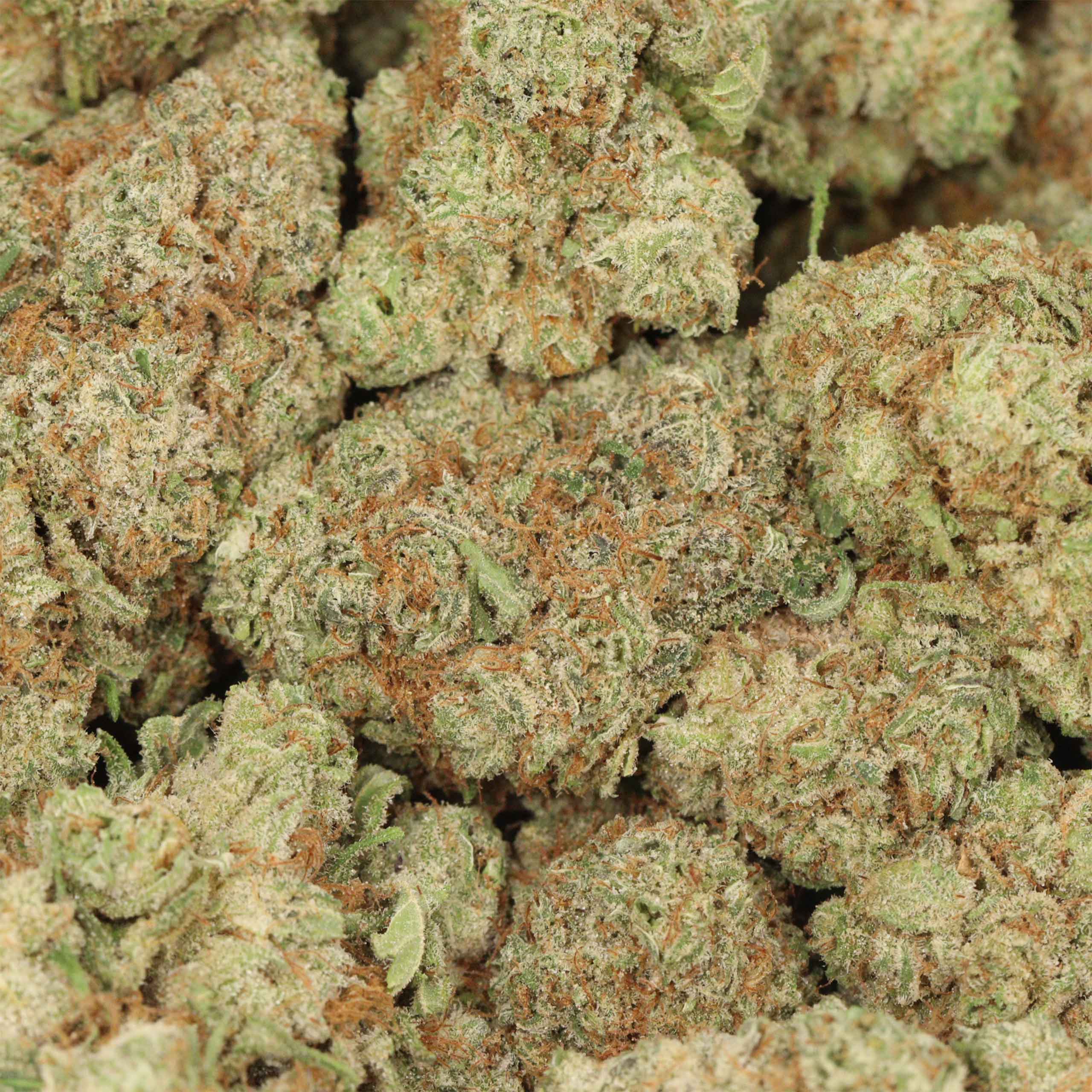 Mango Kush - Image 3