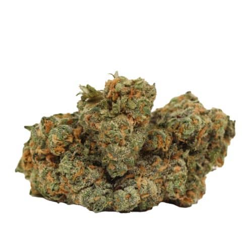 Maui Wowie strain cannabis