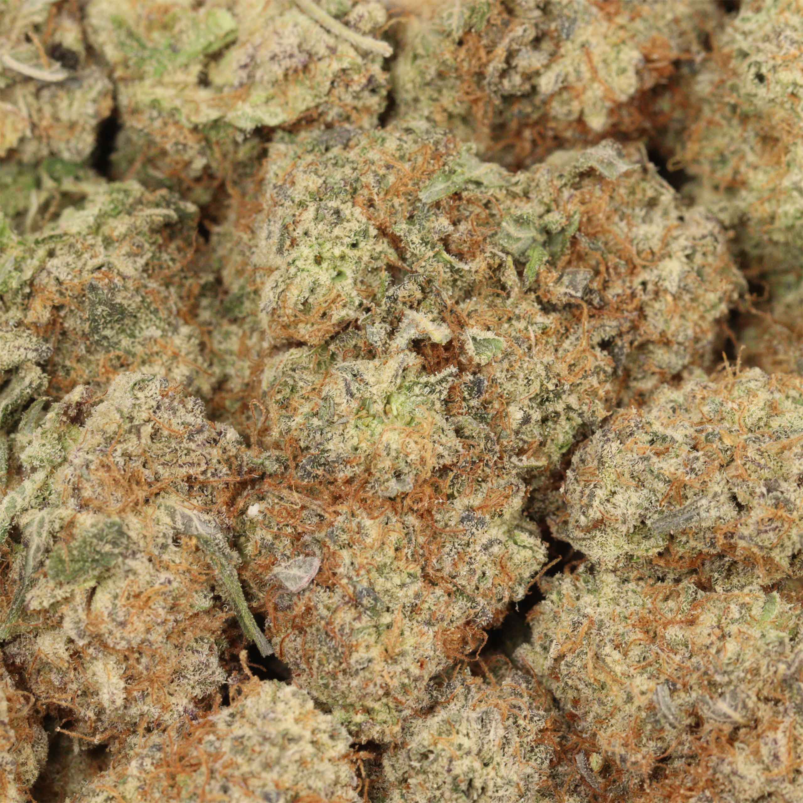 Maui Wowie - Image 3