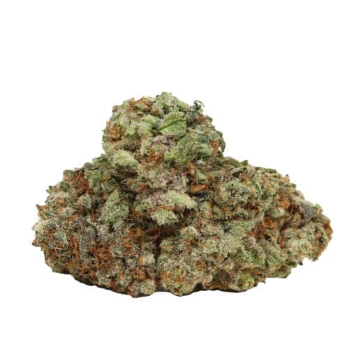 Mimosa strain cannabis