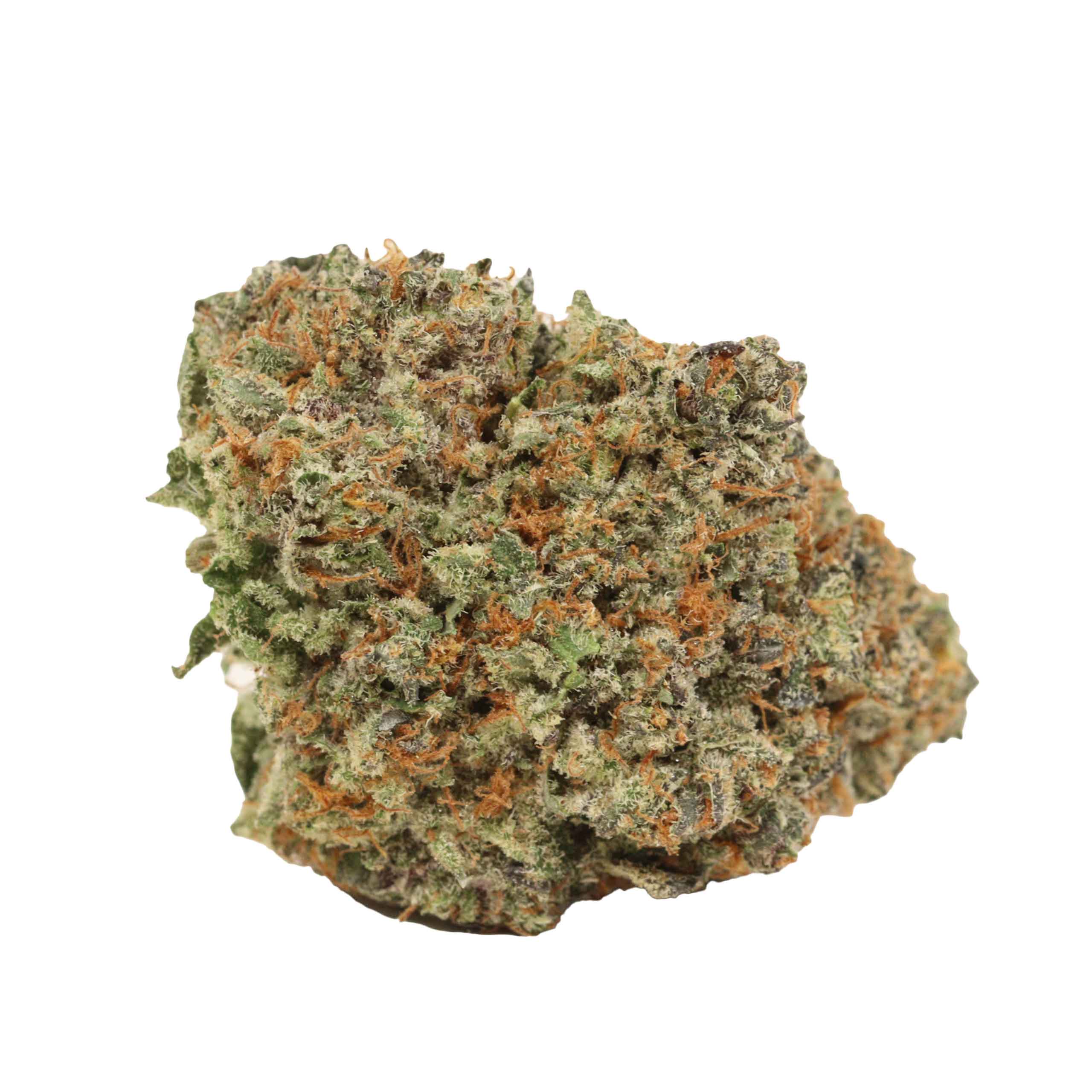 Mimosa - Image 2