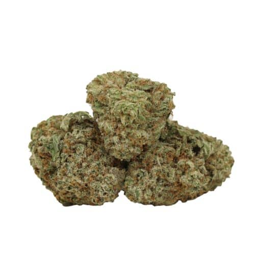 Orange Push Pop strain cannabis