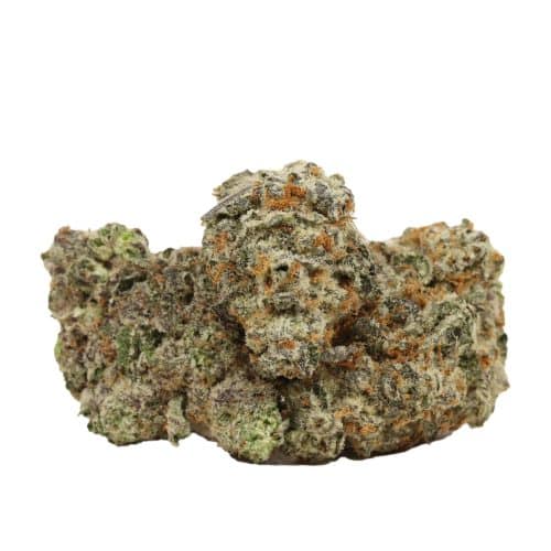 Oreoz craft strain cannabis