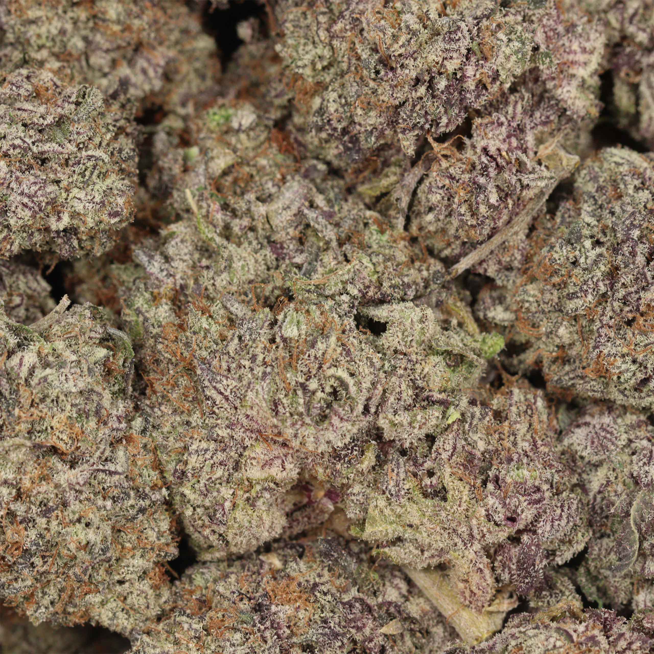 Oreoz craft cannabis