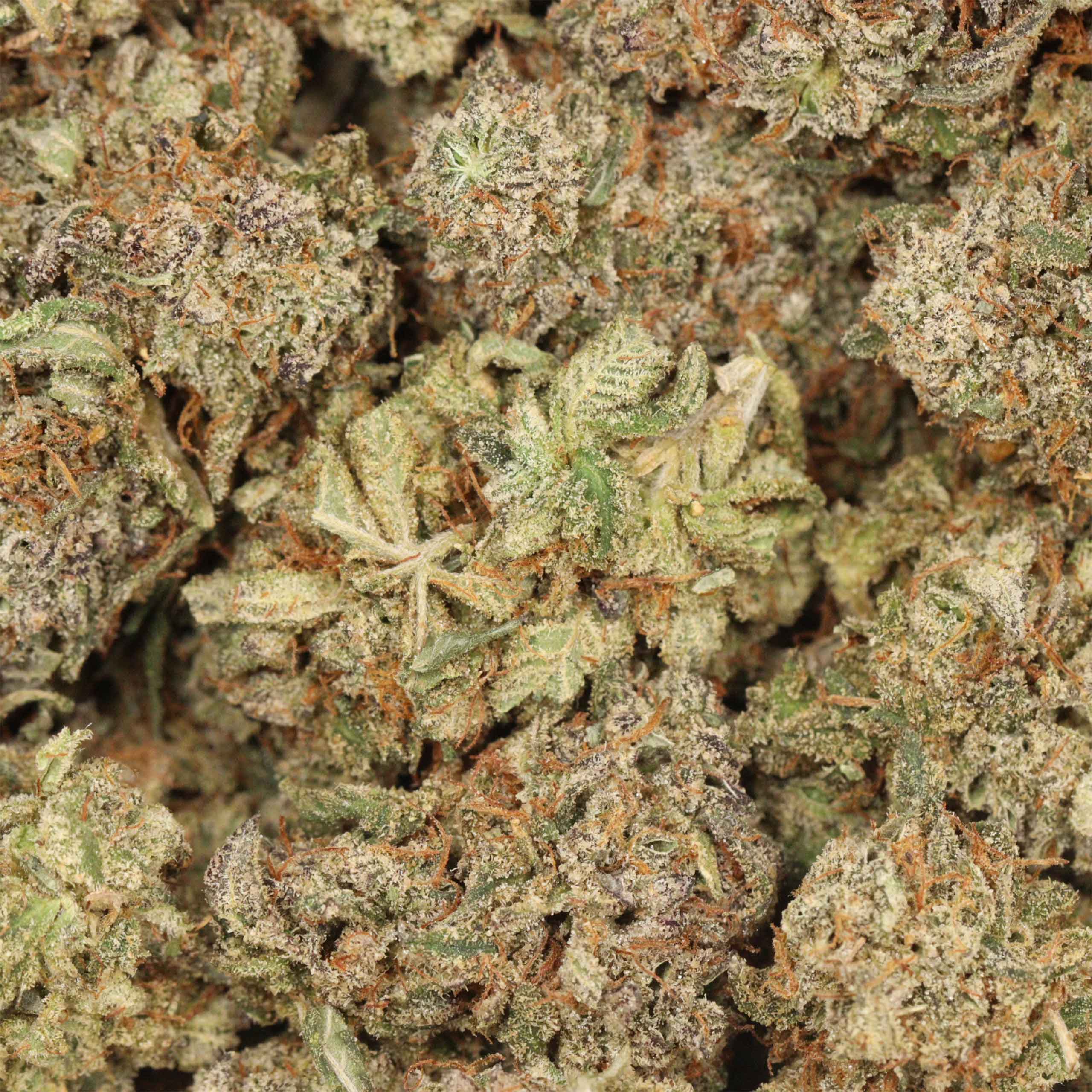 Peanut Butter Breath cannabis
