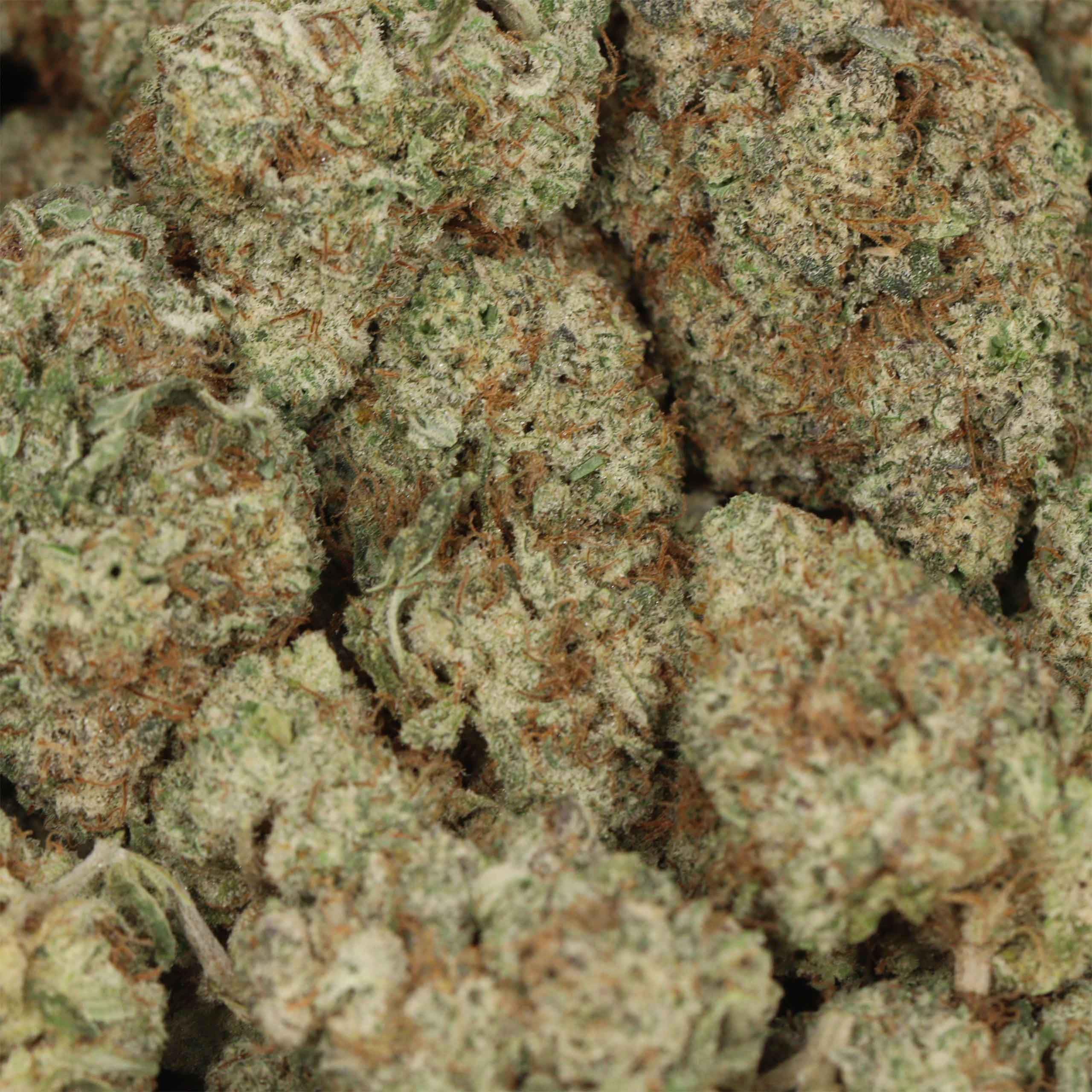 Pineapple Express - Image 3