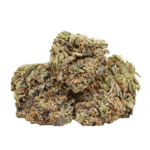 Pink Muerte strain cannabis
