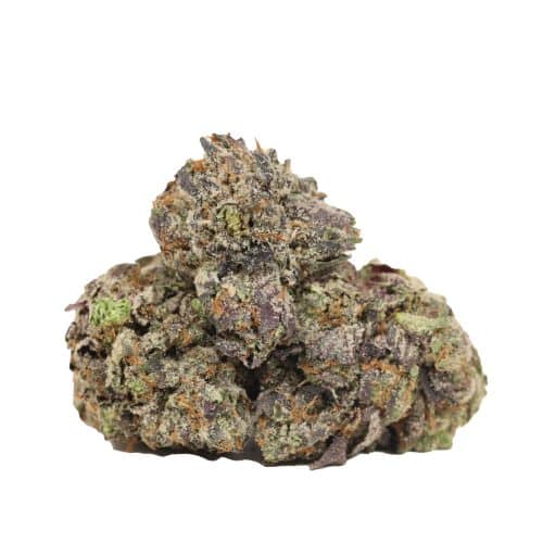 Pink Chapo LSO craft strain cannabis