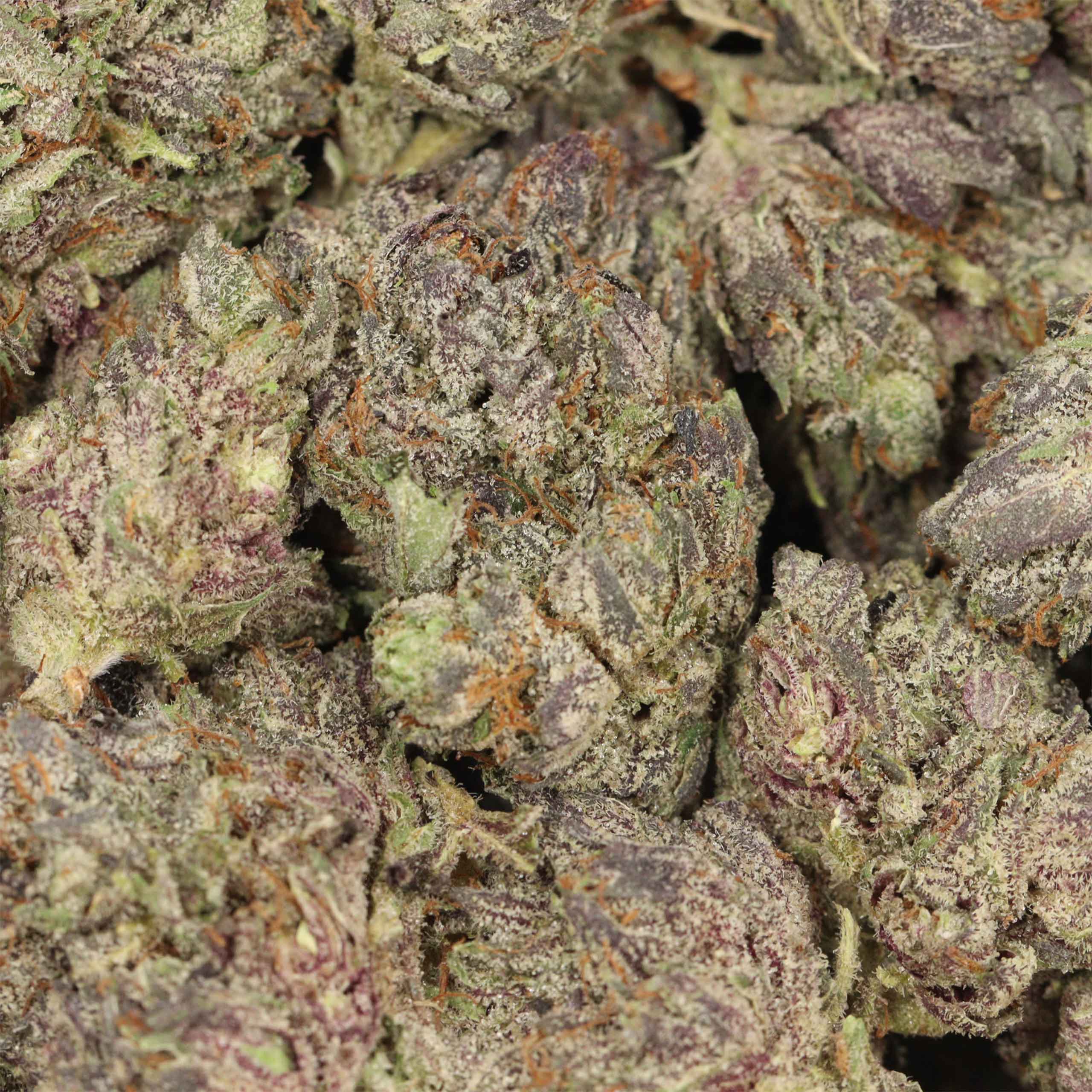 Pink Chapo LSO AAAA+ Indica Craft - Image 3