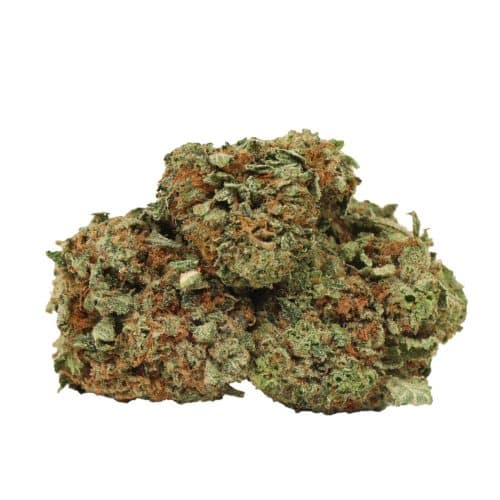 Pink Gas strain cannabis