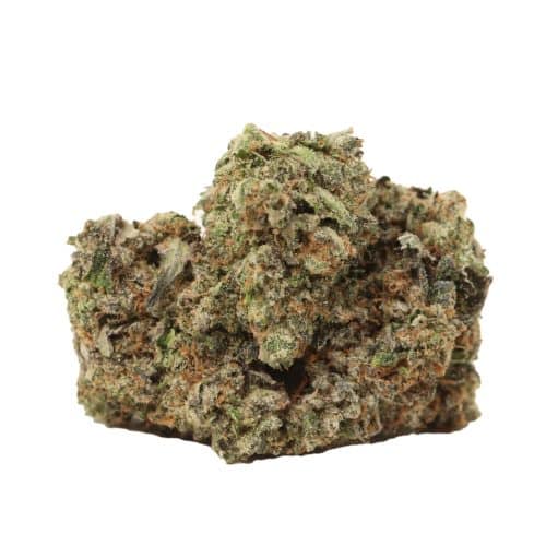 Pink Kush craft strain cannabis