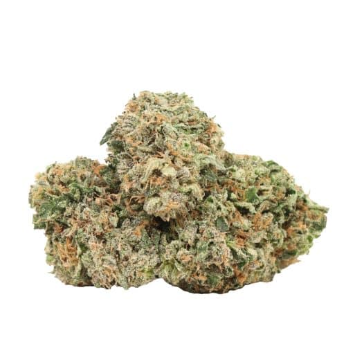 pink kush strain cannabis
