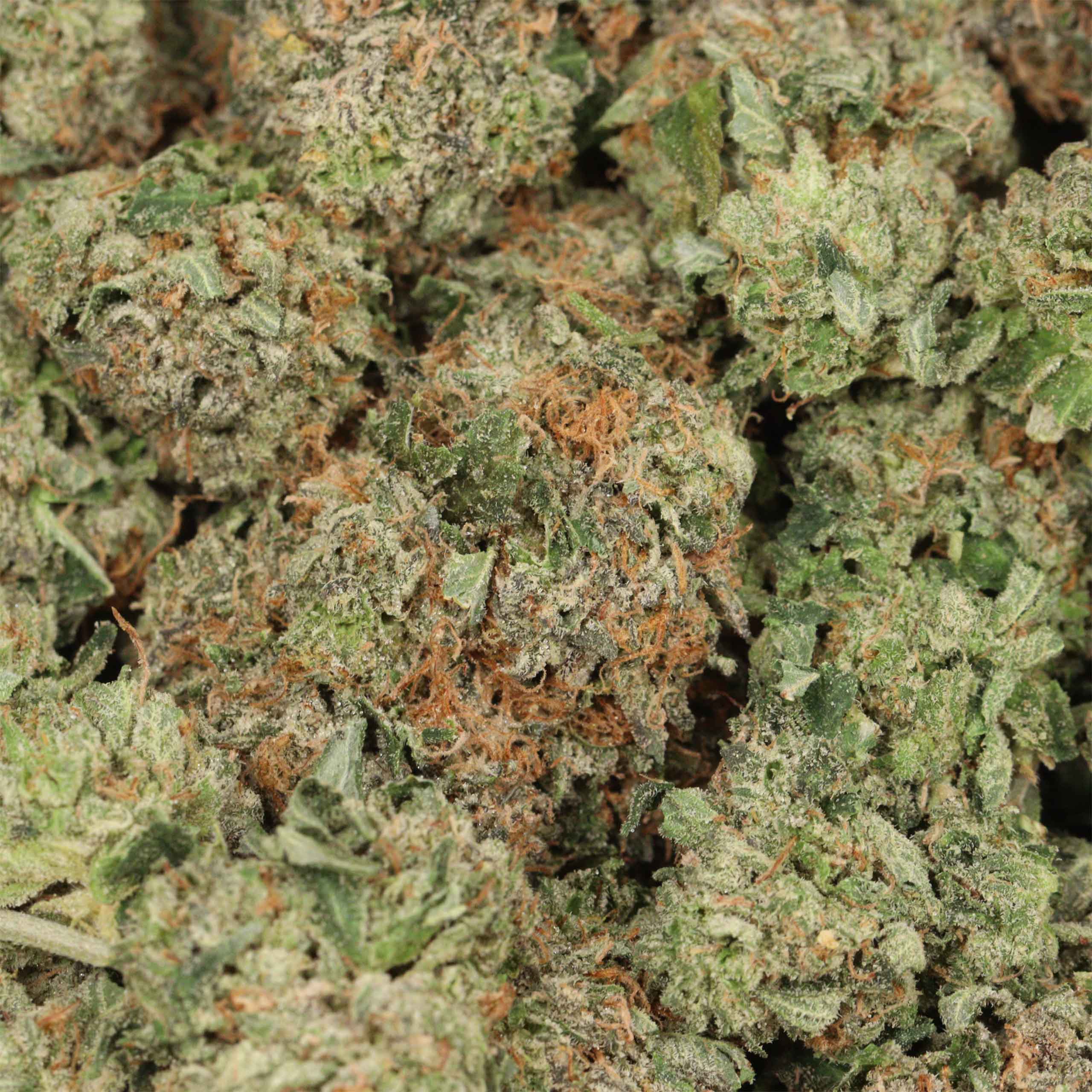 Pink Kush - Image 3