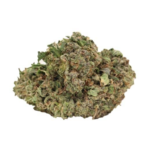 Pink OG strain cannabis